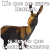 De Que Me SIRVE
HaBLaR
ToSoyleba
Si TENGO Que
GuaRDaR SECRETOS