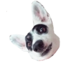 CatiPanda1 16