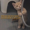 diré que me iré a bañar
y tú me dices a ver, ¿va?