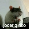 joder q riko