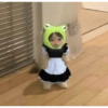 Mood Gatitos😎🐱 30