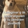 t imaginai q te
guste alguien
y tu tambien
gustarle
