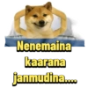 Nenemaina kaarana janmudina....
