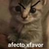 afecto xfavor