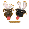 @CACAUSANDO