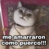 me amarraron
como puerco!!!
GeysiOy
