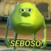 SEBOSO