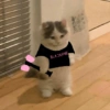 BLAOKPAK