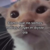 Como que no somos
nobios si ayer m dijiste
ola
