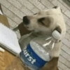Burst