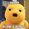 HALAH
BILANG AJA MALES
