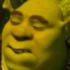 Reações irônicas  13