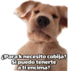 @ballolet888 ¿Para k necesito cobija? Si puedo tenerte a ti encima?