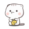 Cat-chan😼 12