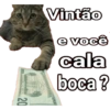 Animais 9