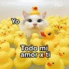 Gatitos Shitposting 2 22