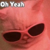 Anime And Cats 17