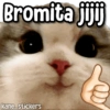 Bromita jijij
kane stickers
te