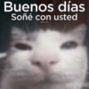 Buenos días
Soñé con usted
(otra vez)
TAKANEKO