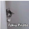 Gatos Cura Depresión😎🙀MEMES 7