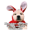 @ballblet888 Bb puedes quitarte la ropa, esk me da miedito