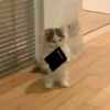 DEATH NOTE