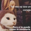 ❤️Shitposting de Amor❤️ 19