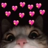 Memes para flertar 😊💖 15