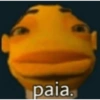 PACK DE TROCAIDLHOS 15