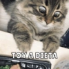 Dilo con Michis pt.2🐱🤍 13