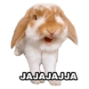 ЈАЈАЈАЈЈА