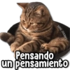 kane sticker
Pensando
un pensamiento