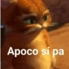 Apoco sí pa