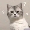 ? ? ?