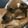 ?