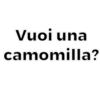 Vuoi una
camomilla?