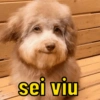 sei viu