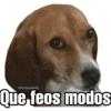@SoyChooqomilq Que feos modos