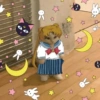 男
了
03