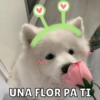 UNA FLOR PA TI
