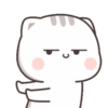 Cat-chan😼 28