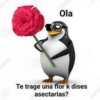 Pa molestar a tu novix 😈 10