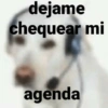 dejame chequear mi agenda