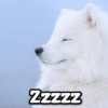 Zzzzz
@Giseelove_Stickers