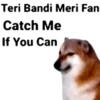 Teri Bandi Meri Fan Catch Me If You Can