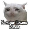 Ya mejor llévame
Diosito
