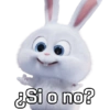 Snowball con frases 🐇🐰 11