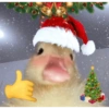 ENTÃO É NATAL 🎄❤️ 9