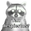 Tan
despiertos?