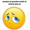 porque no puedes sentir lo mismo que yo